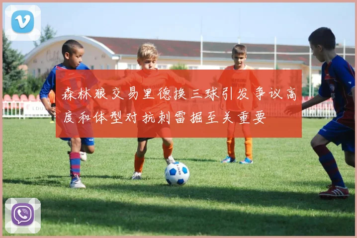 森林狼交易里德换三球引发争议高度和体型对抗刺雷掘至关重要